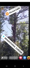 Avatar for Top Notch Tree Service