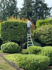 Avatar for SM Landscaping