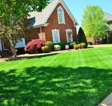 Avatar for Ferrell Home Care and Lawn Services