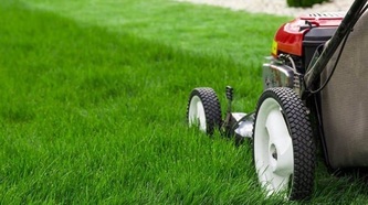Evans Lawn Care logo