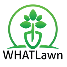 Logo for Ivy Landscape Designs