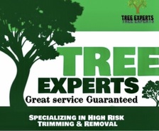 Avatar for Tree Experts