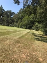 Avatar for L&M Lawncare