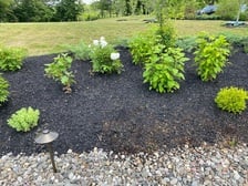 Logo for C&S Landscaping