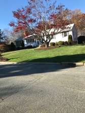 Avatar for Ventura Landscaping