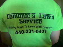 Avatar for Domonic's Lawn Service