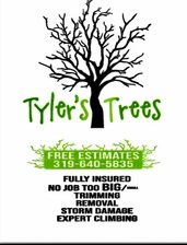 Logo for Tyler's Trees
