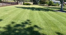 Avatar for C&C Lawn Maintenance