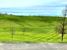 Avatar for Elite Lawn Solutions LLC