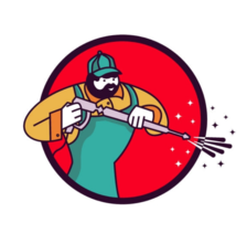 Logo for A'lriah's Pressure Washing & Mobile Detailing