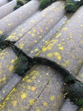 Logo for Apex Pressure Washing & Cleaning Solutions