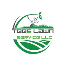 Avatar for TEES Small Engine Repair & Lawn Services