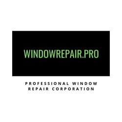 Professional Window Repair logo