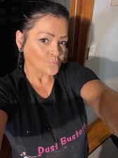 Logo for Dustbusters