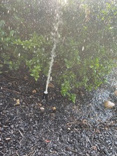 Avatar for Peach State Irrigation LLC