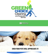 Logo for Green Choice Cleaning & Restoration Services