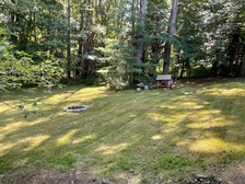 Avatar for GT Lawn Care & Maintenance