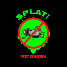 Avatar for Splat Pest Control