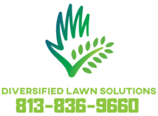 Diversified Lawn Solutions logo