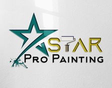 Avatar for Star Pro Painting