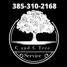 Logo for C and C Tree Service