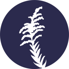 Logo for Den Beste Enterprises, LLC