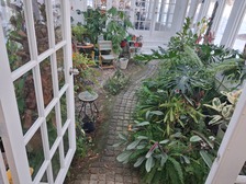 Avatar for Anselmo Hardwood Floors & Painting Service