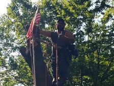 Avatar for Tree Brothers Tree Service