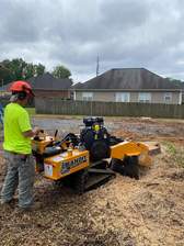 Avatar for Stump Worx, LLC