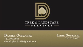 D & D Tree Service & Landscape logo