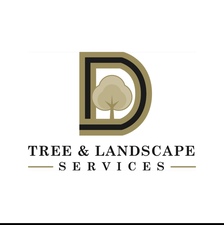 Avatar for D & D Tree Service & Landscape