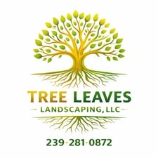 Avatar for TREE LEAVES LANDSCAPING LLC