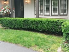 Ridge lawn care kc logo
