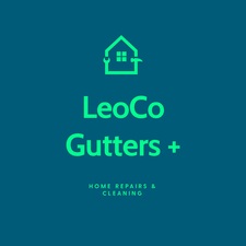 Avatar for LeoCo Gutters Plus