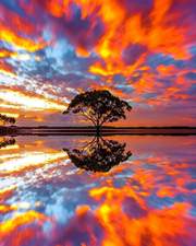 Logo for JB Yard Maintenance