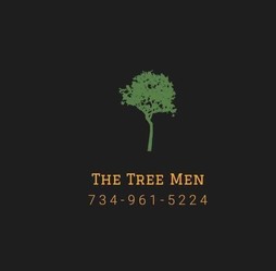 The Tree Men logo