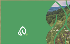 Logo for Best Lawn Innovations