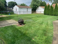 Curb Appeal Lawn Care logo
