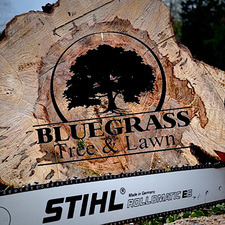 Bluegrass Tree & Lawn logo