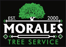 Avatar for Morales Tree Service