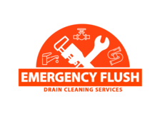 Avatar for Emergency Flush Drain Cleaning Services
