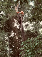 Logo for Spencer Tree and Property Maintenance