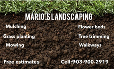 Mario’s landscaping logo