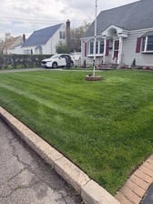 Avatar for Leo AA LI Landscaping Service