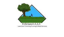 Avatar for Felicianos, LLC