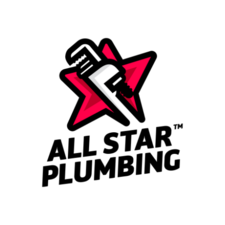 All-Star Plumbing of the Triad, Inc. logo