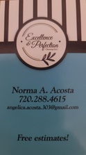 Excellence & Perfection Cleaning, LLC logo