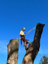 Avatar for Northeast Arbor Solutions