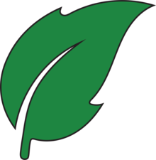 Logo for Green Leaf Landscaping Services LLC