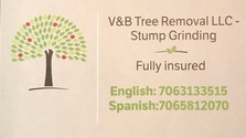 Logo for V&B Tree Removal, LLC
